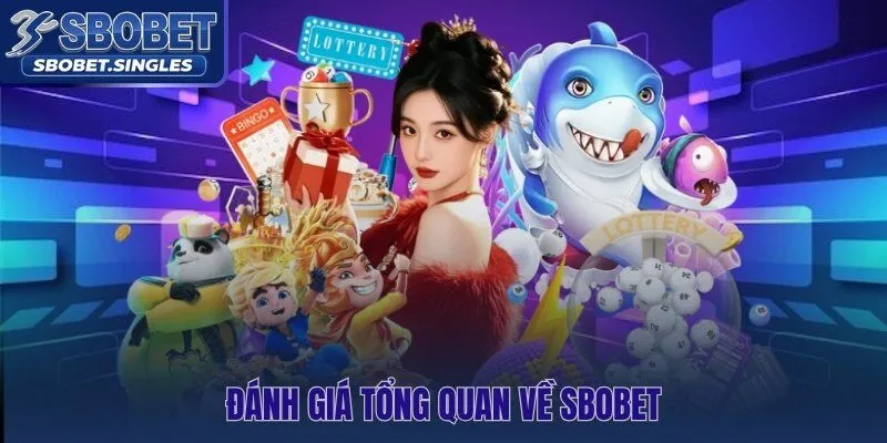 Sbobet 20 năm vận hành uy tín đo bằng số liệu thực