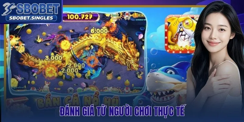 Phản hồi thực từ người dùng Sbobet tại ba thị trường châu Á